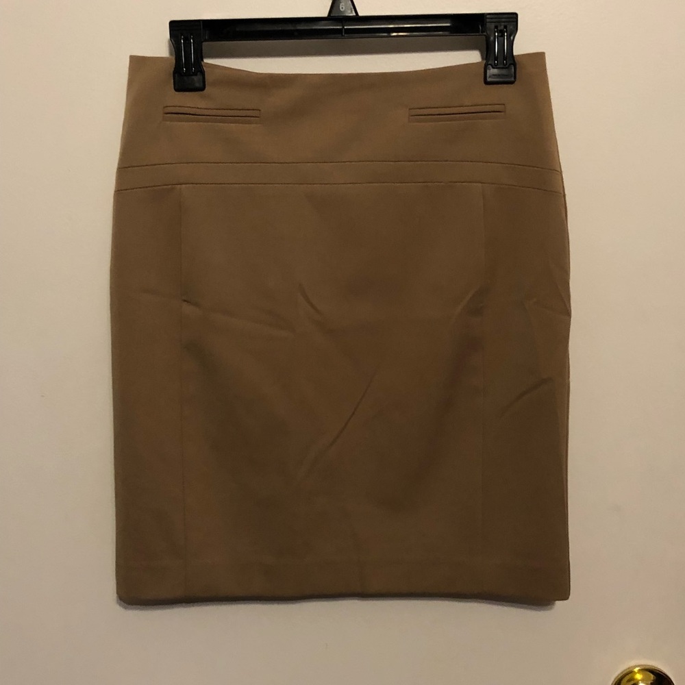 Express Pencil Skirt